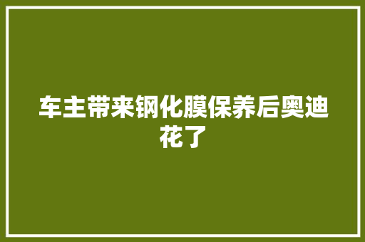 车主带来钢化膜保养后奥迪花了