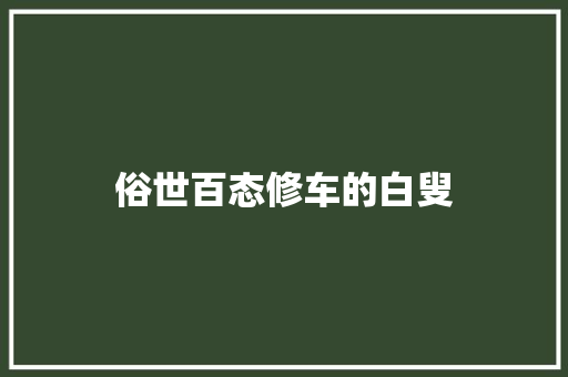 俗世百态修车的白叟