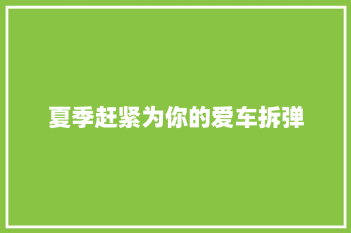 夏季赶紧为你的爱车拆弹