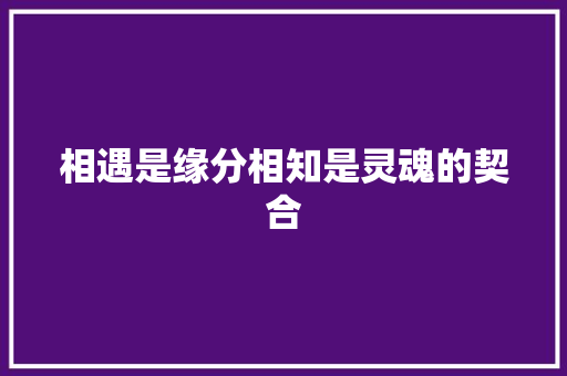 相遇是缘分相知是灵魂的契合 休闲娱乐