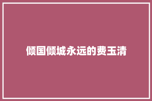 倾国倾城永远的费玉清