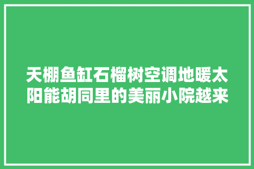 天棚鱼缸石榴树空调地暖太阳能胡同里的美丽小院越来越多