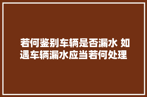  若何鉴别车辆是否漏水 如遇车辆漏水应当若何处理