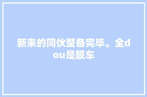 新来的同伙整备完毕。全dou是靓车