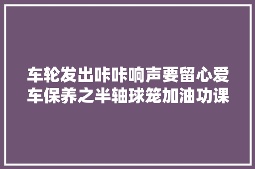 车轮发出咔咔响声要留心爱车保养之半轴球笼加油功课