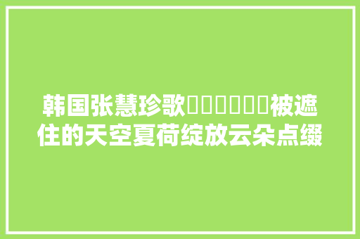 韩国张慧珍歌하늘을가리고被遮住的天空夏荷绽放云朵点缀