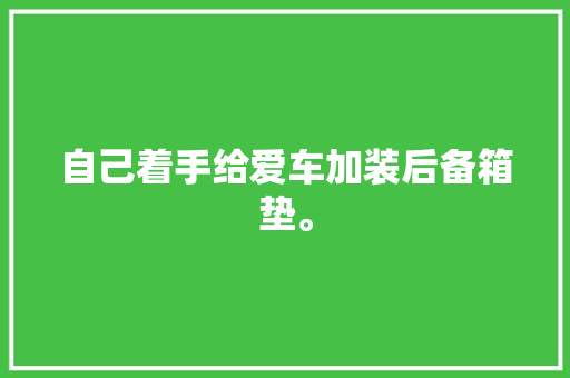 自己着手给爱车加装后备箱垫。