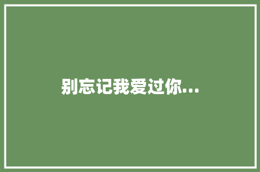 别忘记我爱过你…