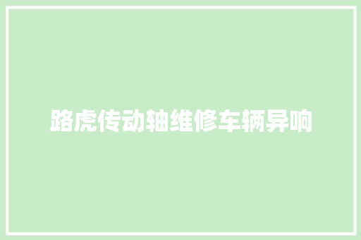 路虎传动轴维修车辆异响