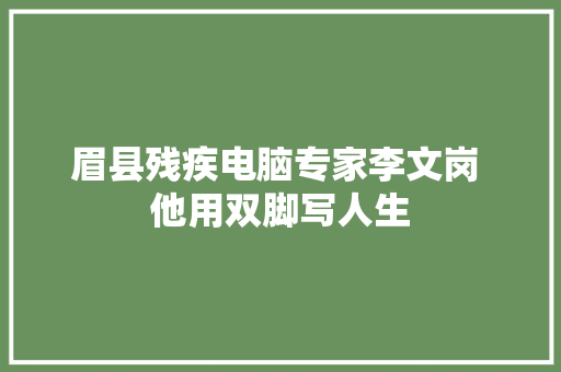 眉县残疾电脑专家李文岗 他用双脚写人生