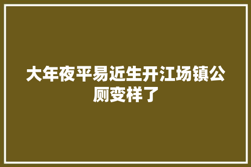 大年夜平易近生开江场镇公厕变样了