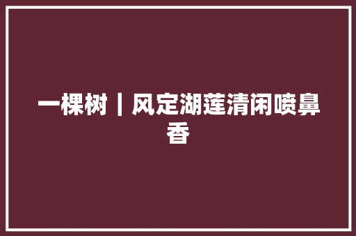 一棵树｜风定湖莲清闲喷鼻香