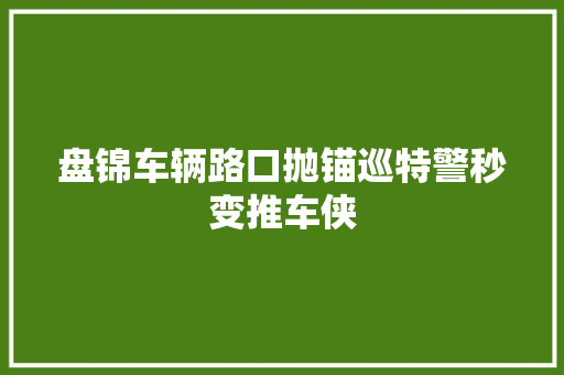 盘锦车辆路口抛锚巡特警秒变推车侠