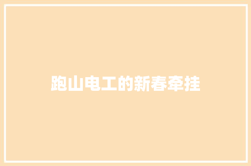 跑山电工的新春牵挂