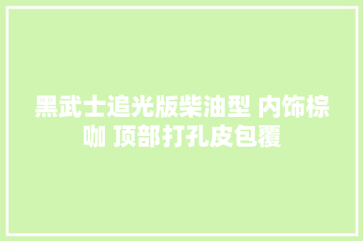 黑武士追光版柴油型 内饰棕咖 顶部打孔皮包覆