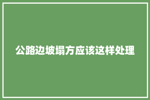 公路边坡塌方应该这样处理