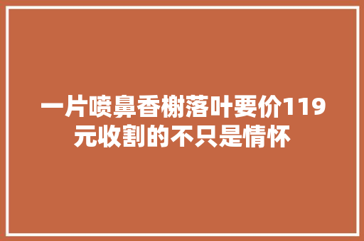 一片喷鼻香榭落叶要价119元收割的不只是情怀 休闲娱乐