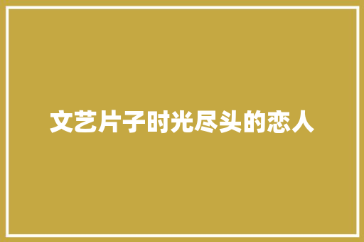 文艺片子时光尽头的恋人 休闲娱乐