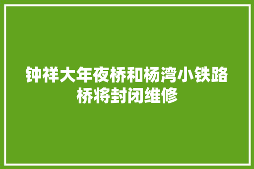 钟祥大年夜桥和杨湾小铁路桥将封闭维修
