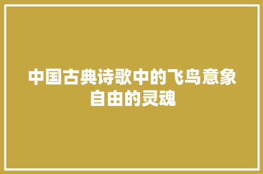 中国古典诗歌中的飞鸟意象自由的灵魂