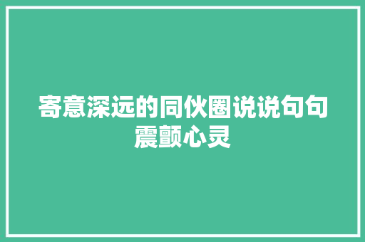 寄意深远的同伙圈说说句句震颤心灵
