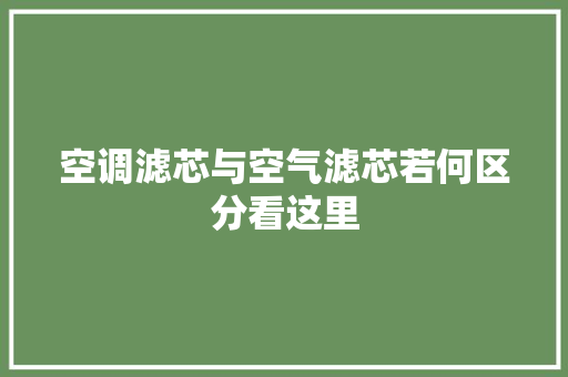 空调滤芯与空气滤芯若何区分看这里
