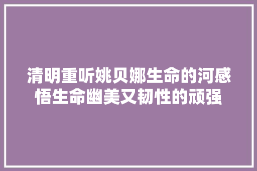 清明重听姚贝娜生命的河感悟生命幽美又韧性的顽强