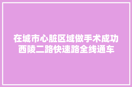 在城市心脏区域做手术成功西陵二路快速路全线通车