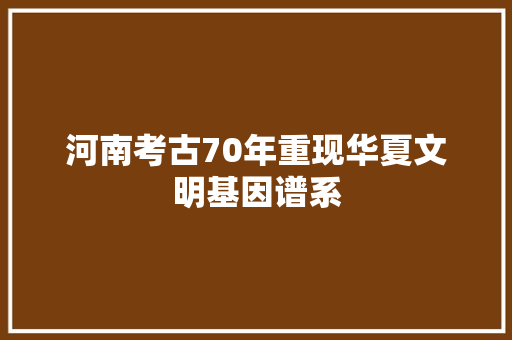 河南考古70年重现华夏文明基因谱系