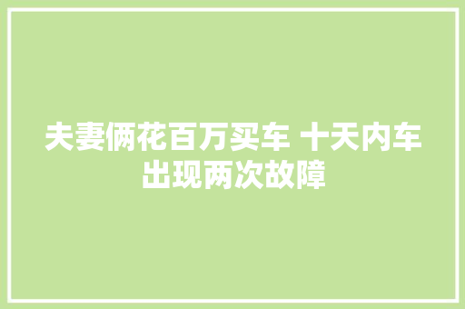 夫妻俩花百万买车 十天内车出现两次故障