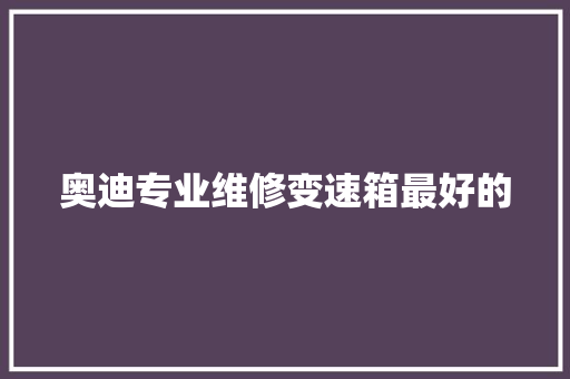 奥迪专业维修变速箱最好的