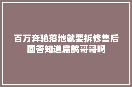 百万奔驰落地就要拆修售后回答知道扁鹊哥哥吗