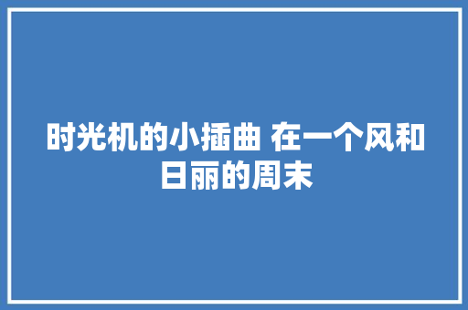 时光机的小插曲 在一个风和日丽的周末