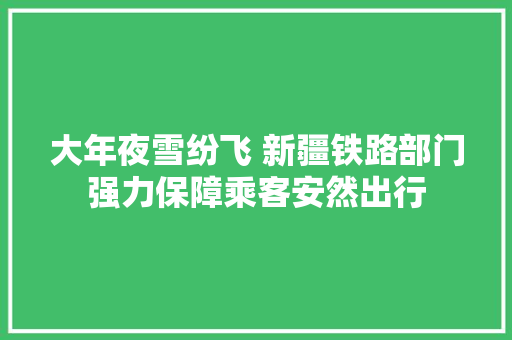 大年夜雪纷飞 新疆铁路部门强力保障乘客安然出行