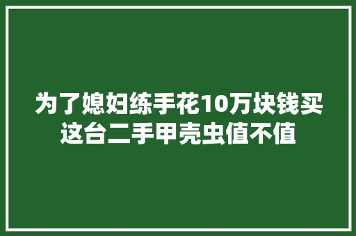 为了媳妇练手花10万块钱买这台二手甲壳虫值不值