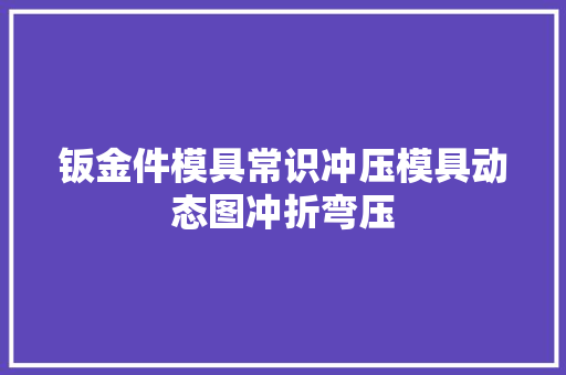 钣金件模具常识冲压模具动态图冲折弯压
