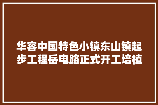 华容中国特色小镇东山镇起步工程岳电路正式开工培植