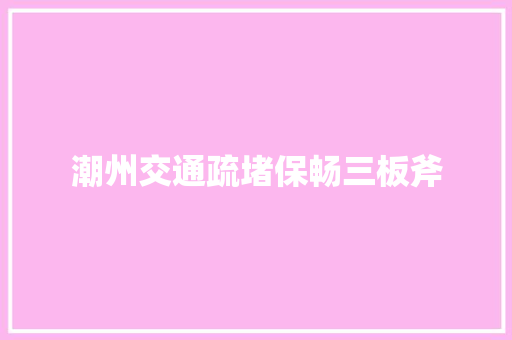 潮州交通疏堵保畅三板斧