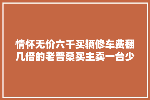 情怀无价六千买辆修车费翻几倍的老普桑买主卖一台少一台