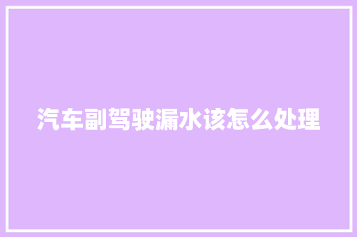 汽车副驾驶漏水该怎么处理 汽车知识