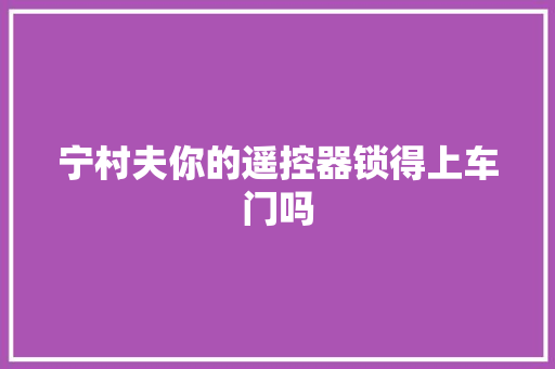 宁村夫你的遥控器锁得上车门吗