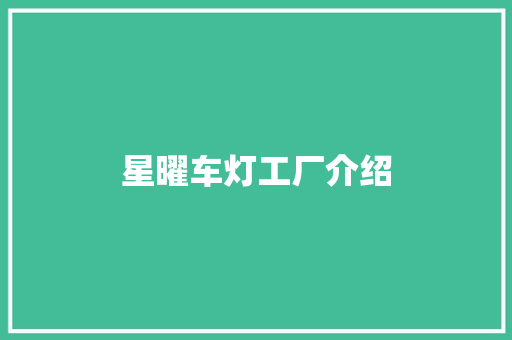 星曜车灯工厂介绍
