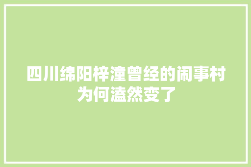 四川绵阳梓潼曾经的闹事村为何溘然变了 汽车知识