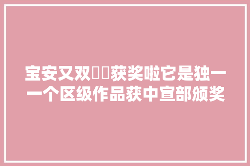 宝安又双叒叕获奖啦它是独一一个区级作品获中宣部颁奖的作品