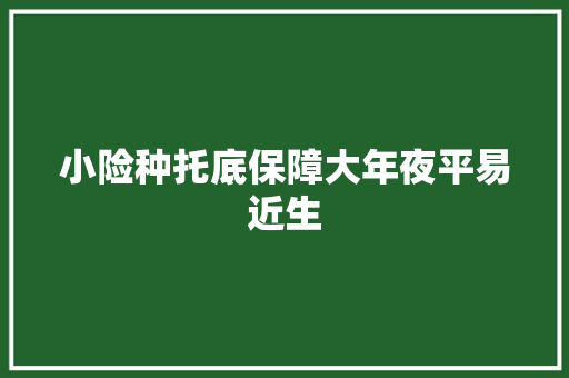 小险种托底保障大年夜平易近生 汽车知识
