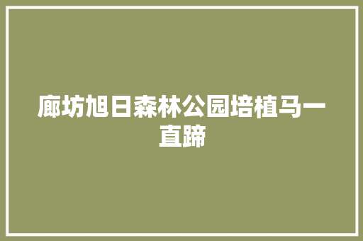 廊坊旭日森林公园培植马一直蹄