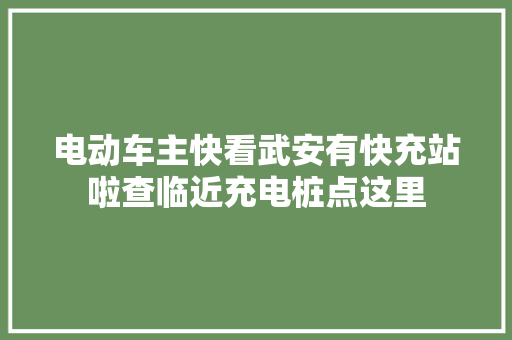电动车主快看武安有快充站啦查临近充电桩点这里