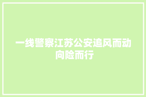 一线警察江苏公安追风而动 向险而行