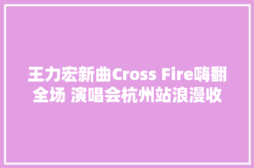 王力宏新曲Cross Fire嗨翻全场 演唱会杭州站浪漫收官