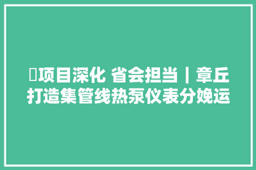 ​项目深化 省会担当｜章丘打造集管线热泵仪表分娩运维做事为一体的能源领域全家当链智造分娩基地